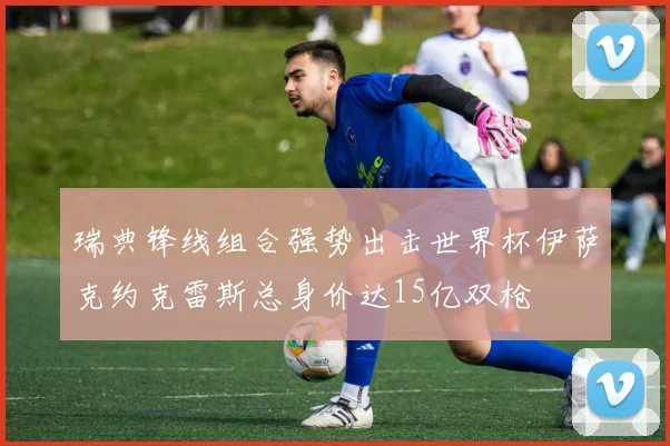 瑞典锋线组合强势出击世界杯伊萨克约克雷斯总身价达15亿双枪